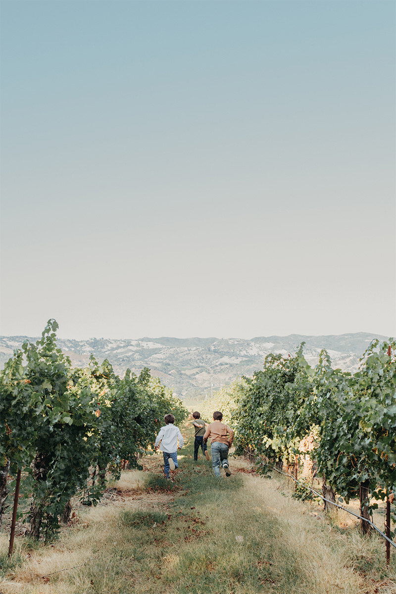 Coin boys running through the vineyard